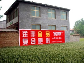  象山如何让墙体广告展现最大化效果