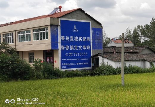 象山决定墙体广告价格的因素有哪些?