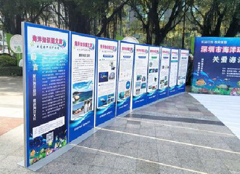  象山KT板的种类和知识。